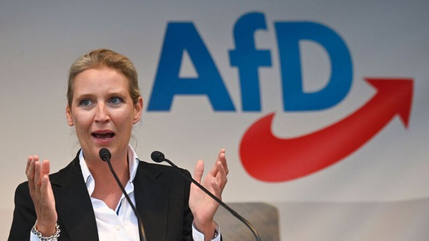 AfD  möchte Frauenrechte nicht mehr gelten lassen.