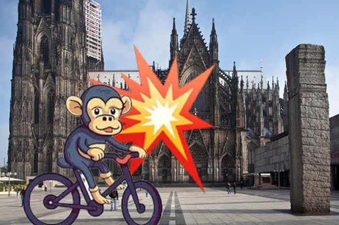 Affe nietet Domi um - was macht Kölle nun?